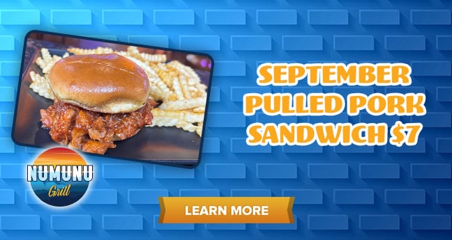 September Pulled Pork Sandwich